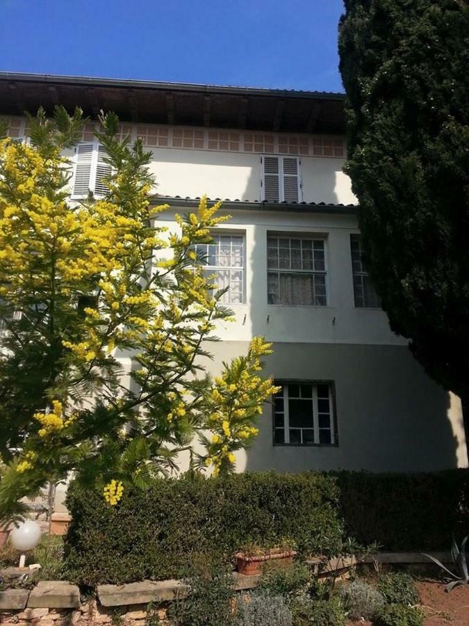 Vintage Magnolia 3* Pula